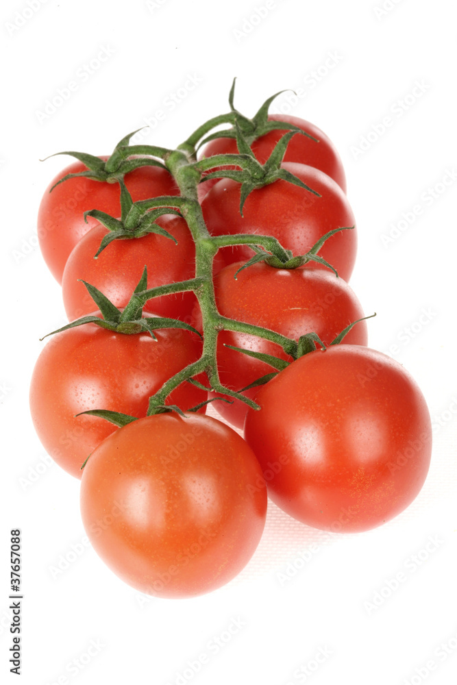 Organic Vine Grown Tomatoes