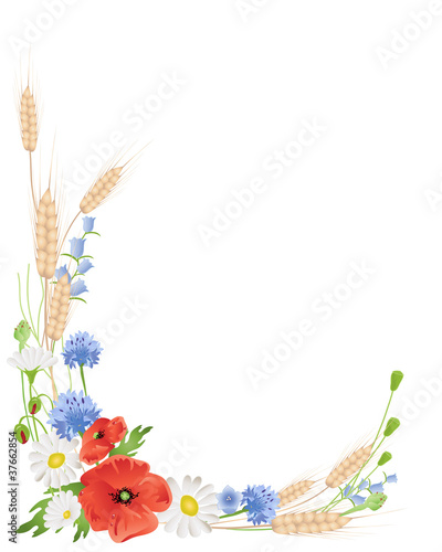 Fototapeta Naklejka Na Ścianę i Meble -  wheat and wildflowers