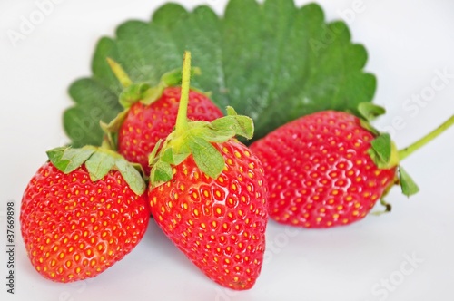 STRAWBERRY