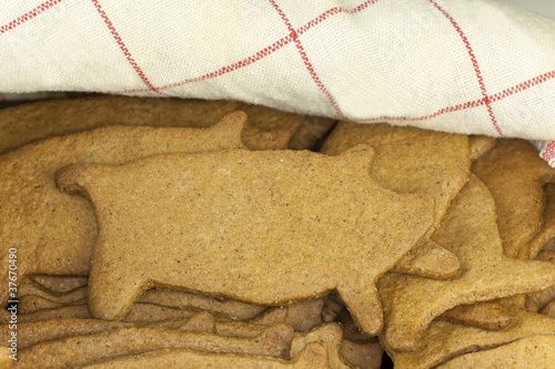 Homemade Gingerbread cookies photo