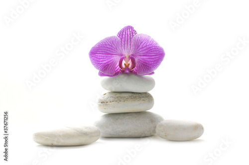 Beautiful pink orchid and stones tower