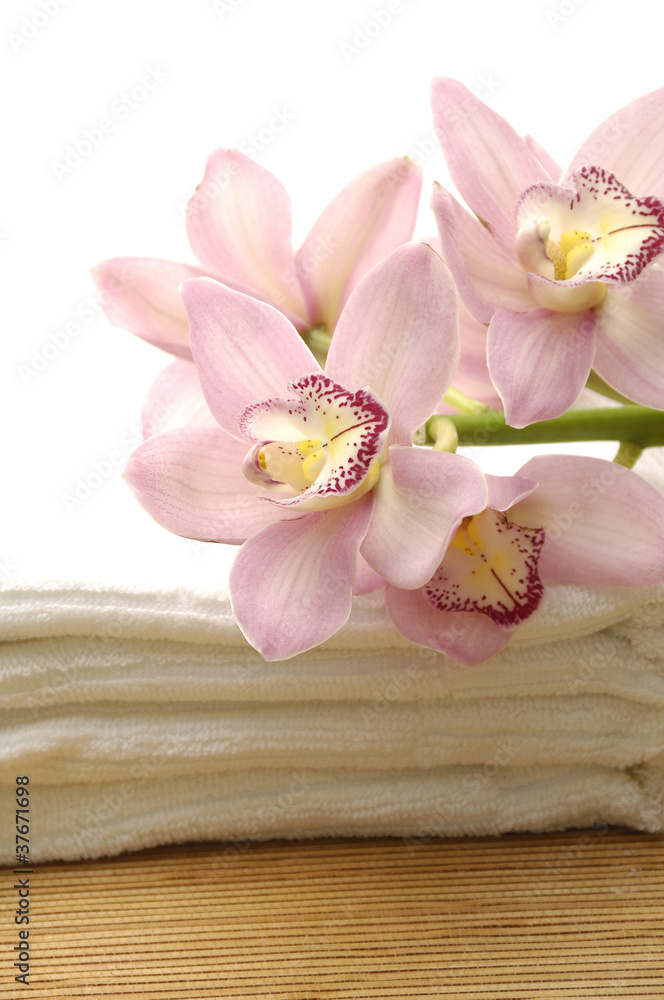 Branch pink orchid on towel