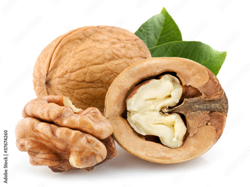 Walnut isolated on white background. Studio macro Walnut isolated on white background. Studio macro
