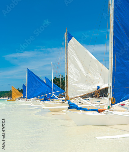 sailing boats