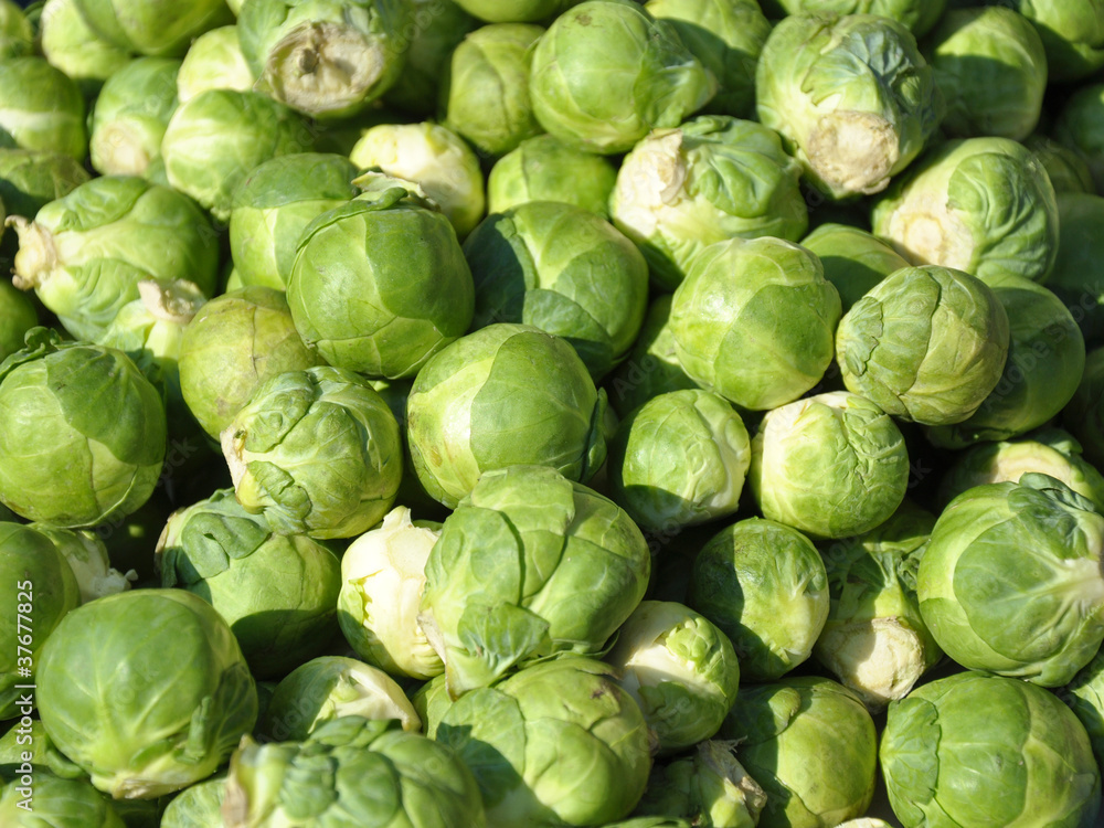 grünes gemüse grünes gemüse