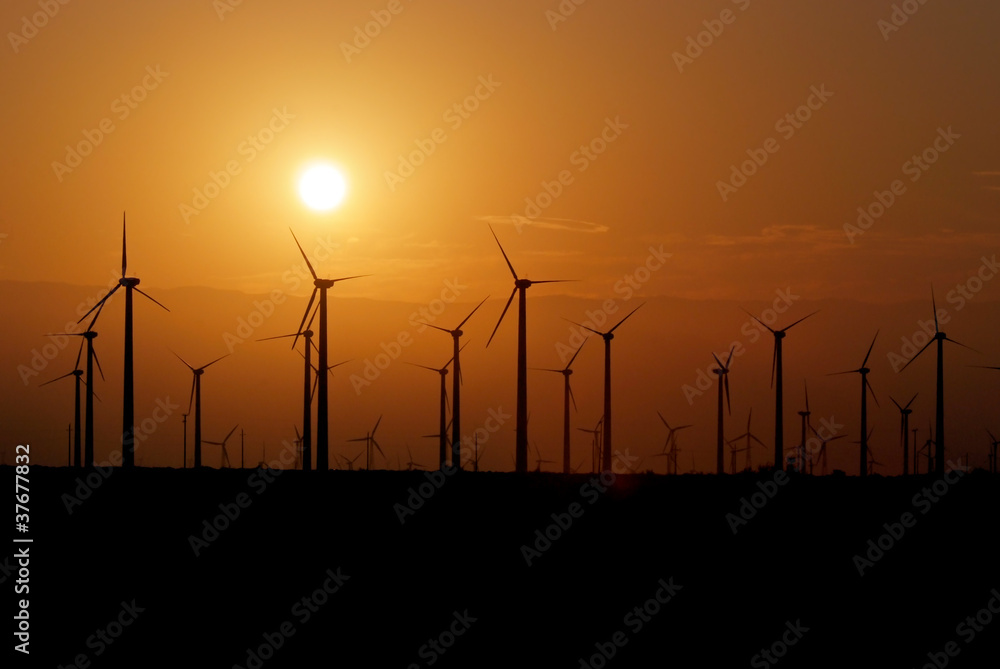 wind farm during sunset