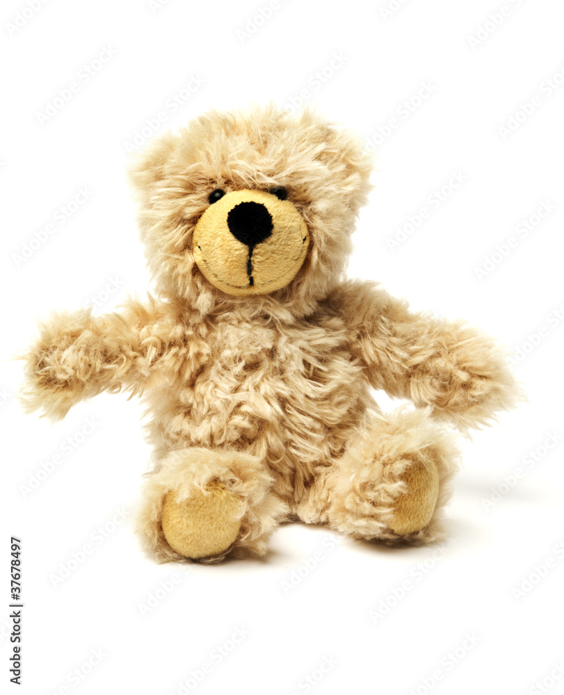 Plüsch Teddybär