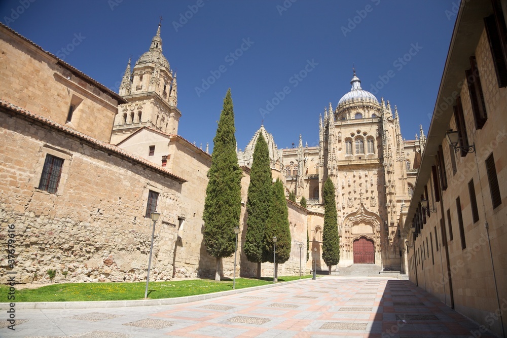 street next to Salamanca cathedral
