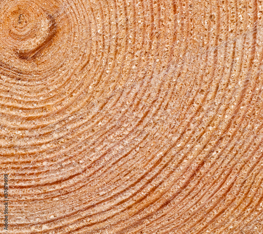 Naklejka premium Wooden background