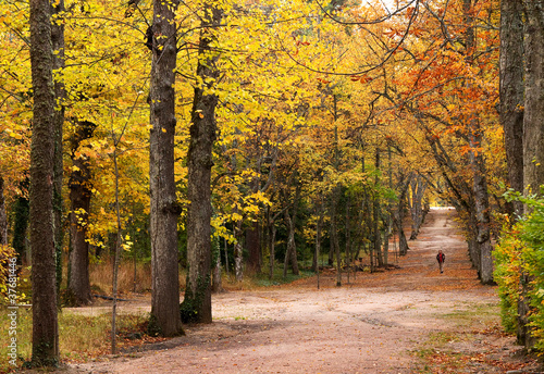 Autumm
