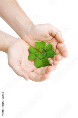 Glücksklee in der Hand