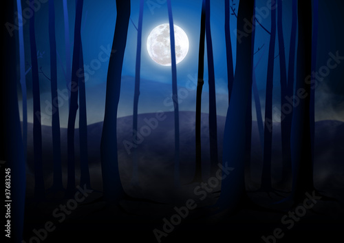 Dark Woods and Full Moon © rudall30