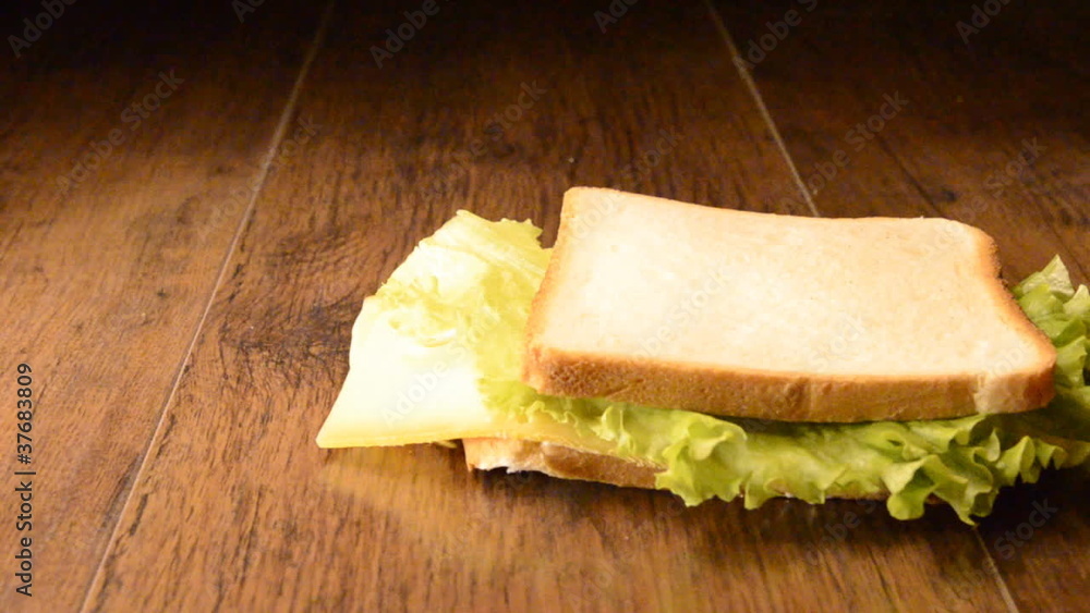 Sandwich falling on the floor Sandwich falling on the floor
