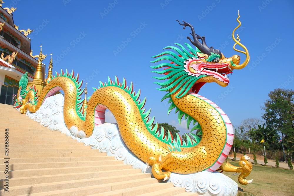 Fototapeta premium dragon statue