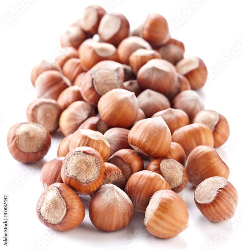 Nuts filberts isolated