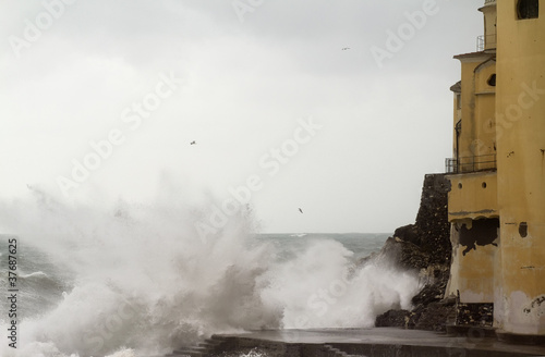 wave crash agains Camogli church