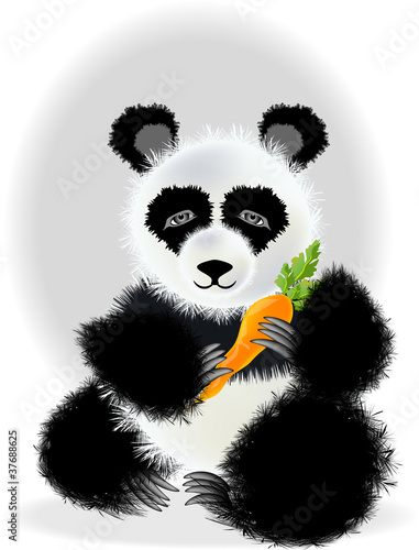 Panda, vector illustration