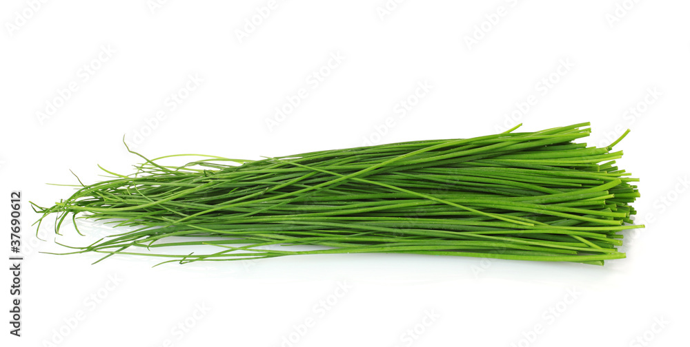 beautiful green onion chives isolated on white beautiful green onion chives isolated on white
