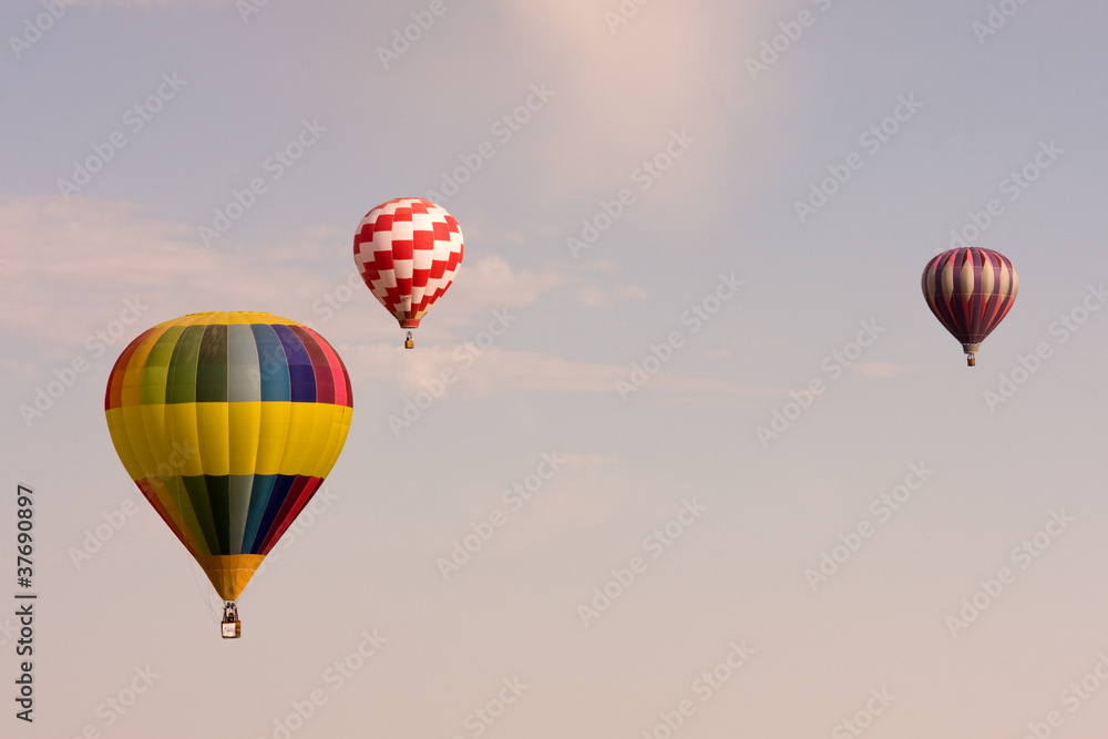 Obraz premium Balloon Festival 1