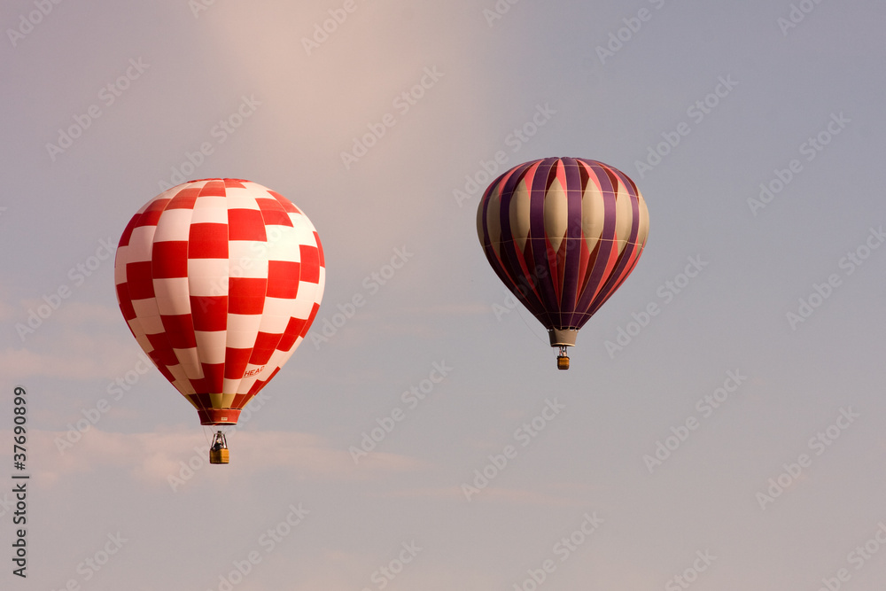 Fototapeta premium Balloon Festival 3