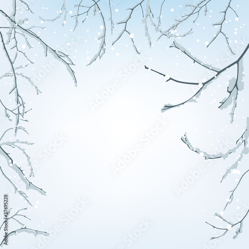 The branches of the snow