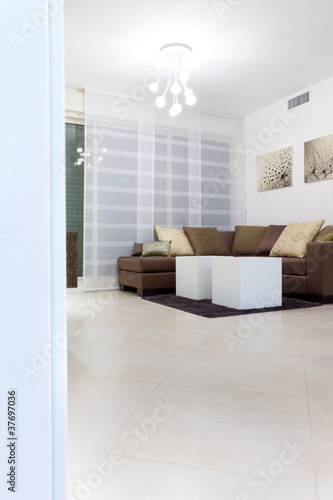 Living room with furnishings in a new house