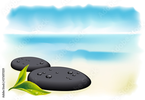 Two black pebbles with fresh leaf.