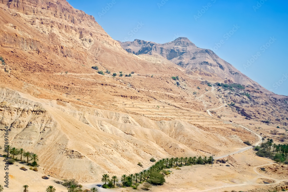 Fototapeta premium Desert landscape