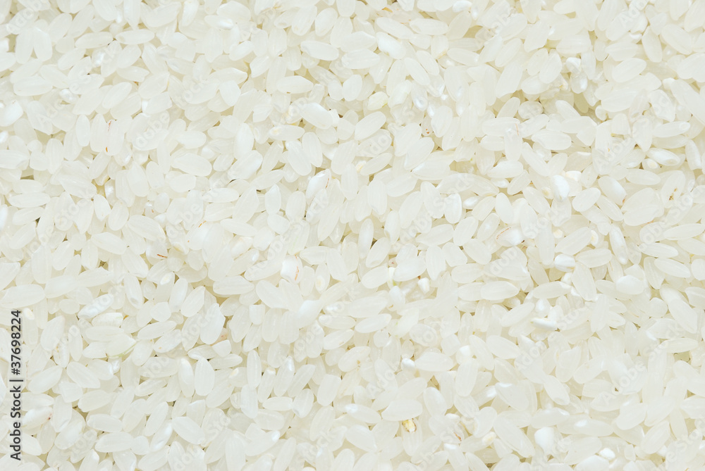 Rice Rice