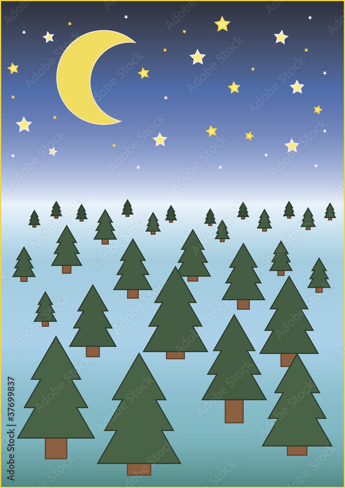 In winter the spruce forest at night stars shine and the moon