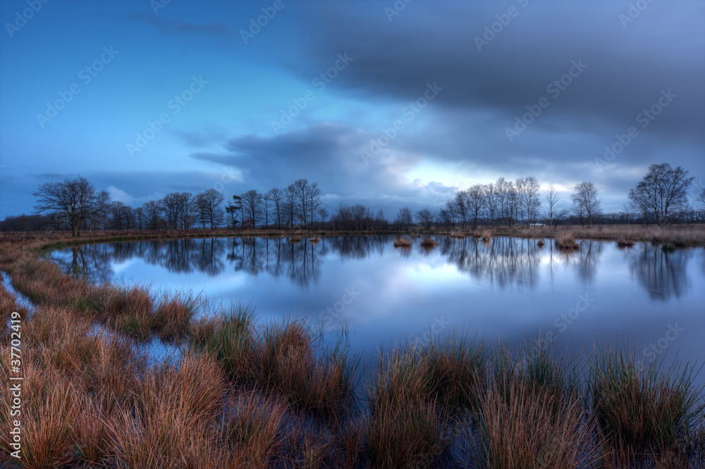 Pond on a moor, just before sunrise