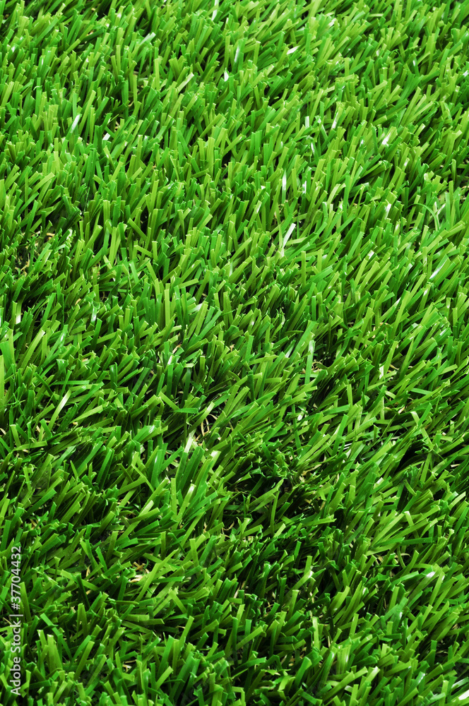 grass grass