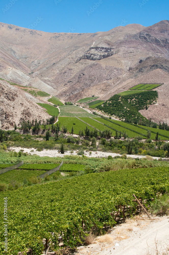 Valle de Elqui, Chile
