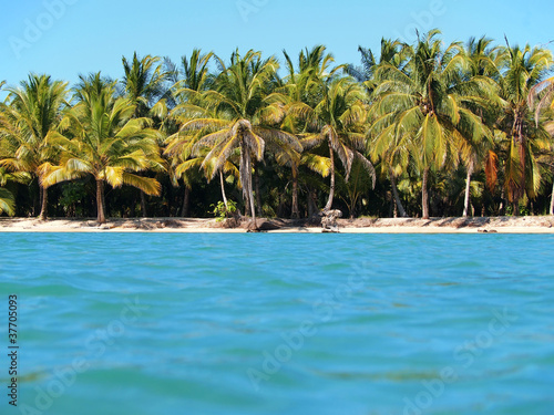 Untouched tropical sea shore with coconut trees seen from the water surface