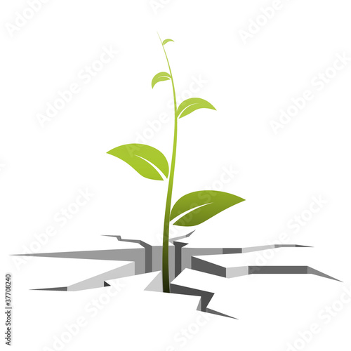 Vector illustration of a germ, which grows out of cracks in the