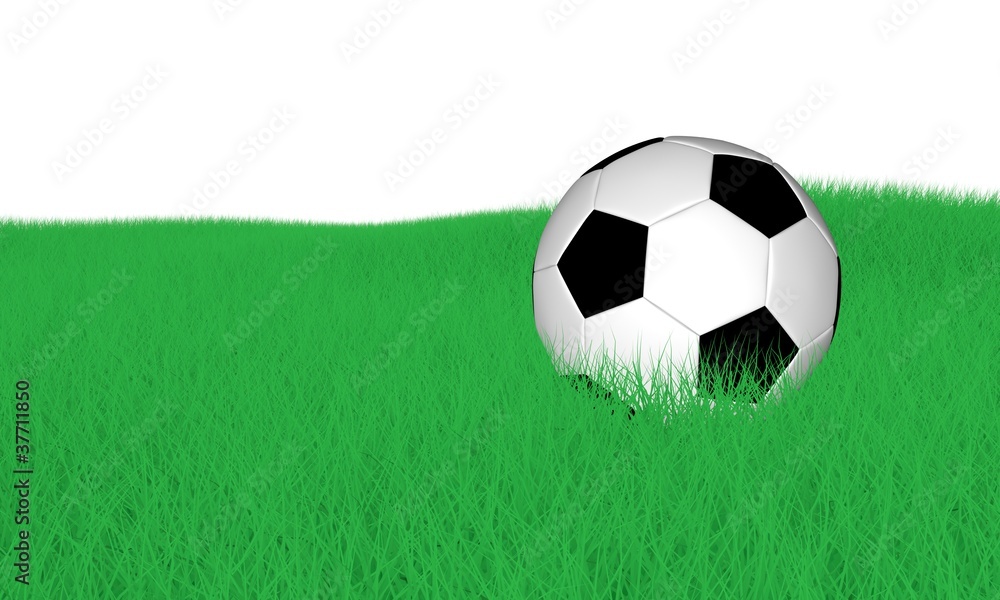 Fototapeta premium Fußball Wiese