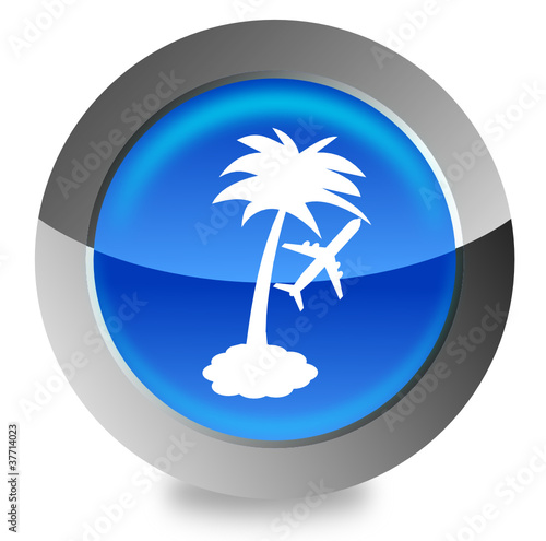 Palm beach button