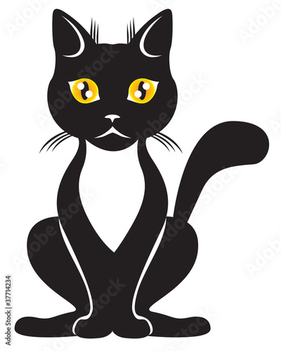 Fototapeta The graceful black cat with yellow eyes