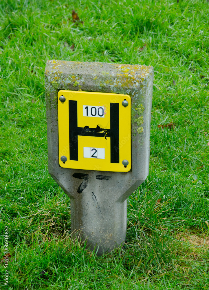 british fire hydrant on green gass Stock Photo | Adobe Stock