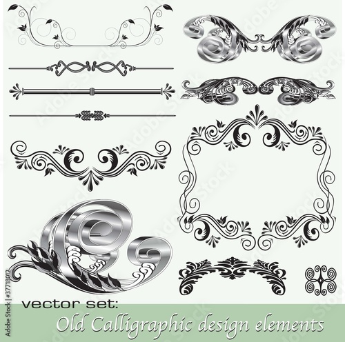 Calligraphic design elements 14