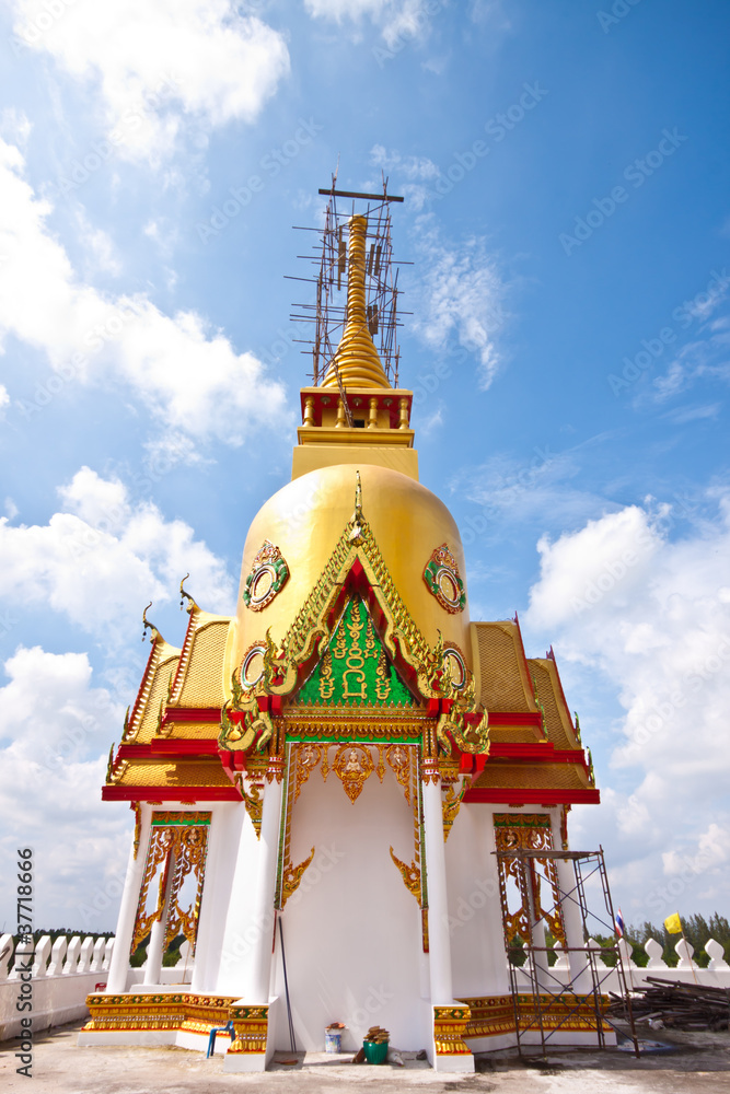 Fototapeta premium Art