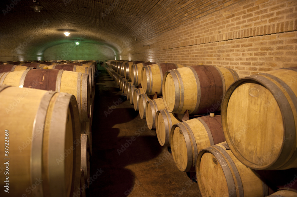 Argentina Wine Cellar