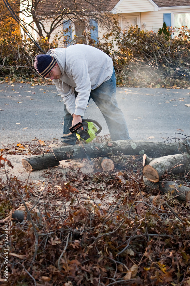 Man Cuts Tree Limbs with a Chainsaw Man Cuts Tree Limbs with a Chainsaw