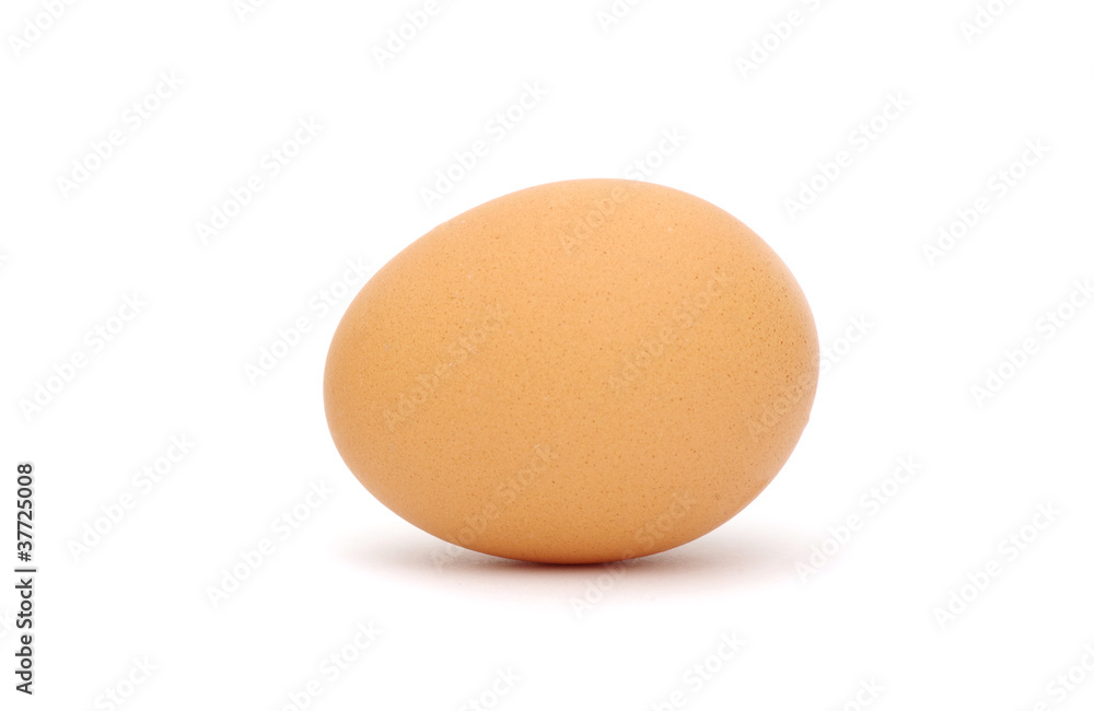 egg egg