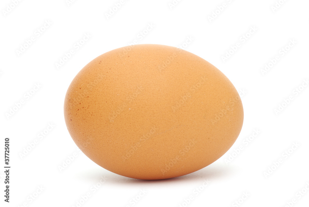 egg egg