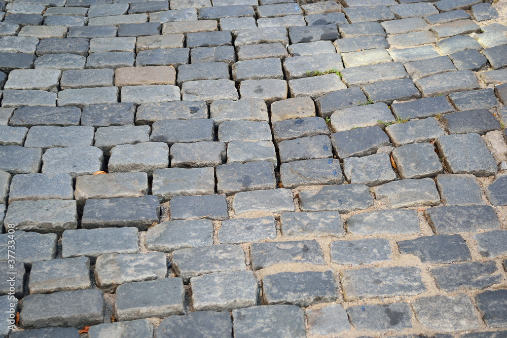 Paving stone Paving stone