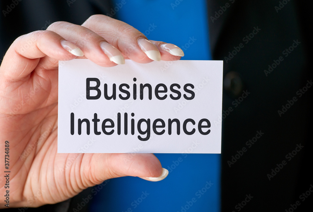 Business Intelligence Business Intelligence