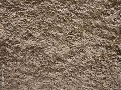 Grunge Cement Wall photo