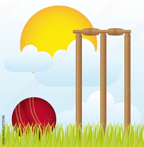 cricket ball photo