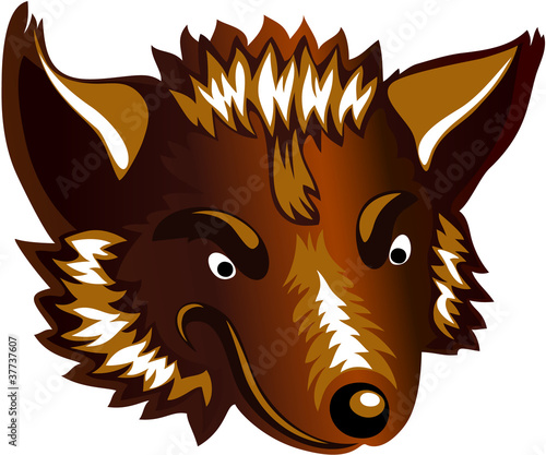 wolf's head